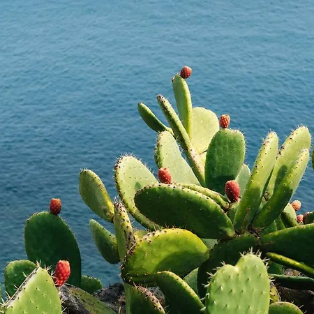 Profumo Di Mare Holiday home *