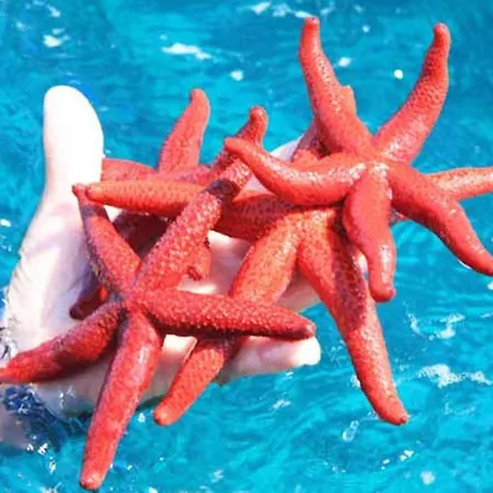 Profumo Di Mare Holiday home